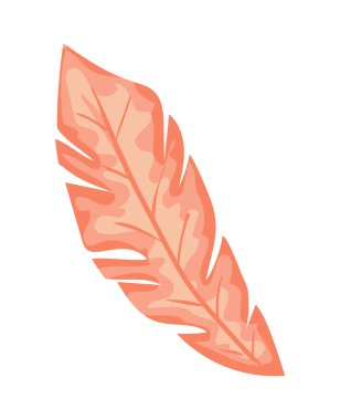 Tüy boho vahşi ve özgür ikon