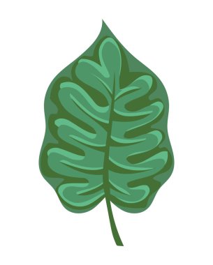 Yaprak bitkisi izole tasarım simgesi