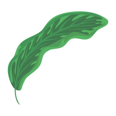 yeşil yaprak doğa simgesi beyaz arkaplan