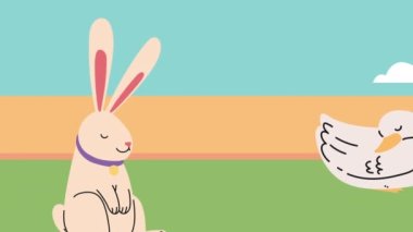 Sevimli tavşan ve ördek hayvan animasyonu, 4k video animasyonu