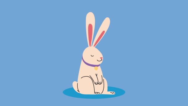 Niedlichen Kaninchenfarm Charakter Animation Video Animiert — Stockvideo