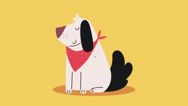 Lindo Perro Con Una Bufanda Video Animado — Vídeo de stock