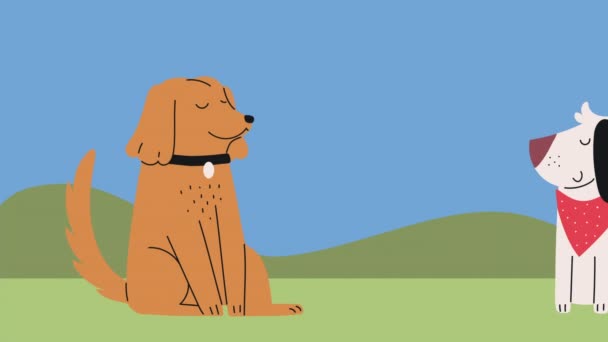 Aranyos Kutyák Állatok Karakter Animáció Videó Animált — Stock videók