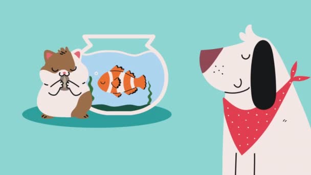 モルモットと魚と犬のアニメーション4Kビデオアニメーション — ストック動画
