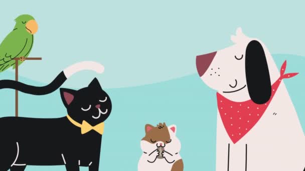 Group Animals Characters Animation Video Animated — Vídeo de stock
