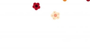 Çin çiçek desenleri arka plan, 4k video animasyonu