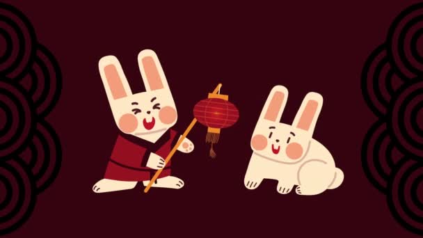 Conigli Cinesi Con Animazione Lampada Video Animato — Video Stock