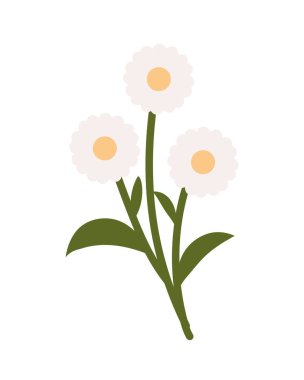 flowers leaf spring icon white background