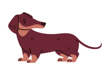 dachshund dog animal icon white background