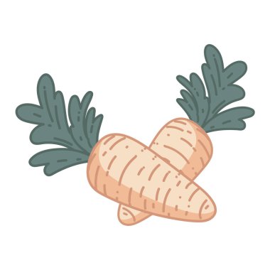 carrots fresh vegetable icon white background