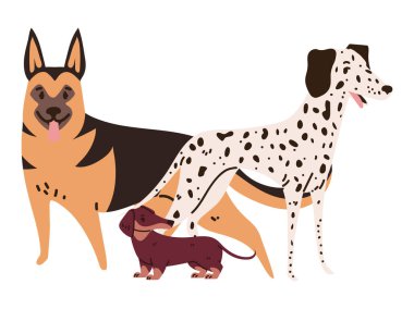 dogs on white background design