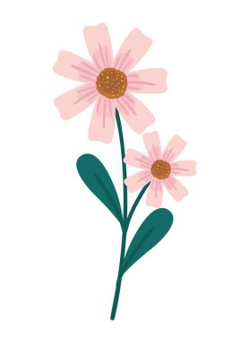 flowers and leaves spring vector icon design