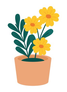 flowers in a pot spring vector icon