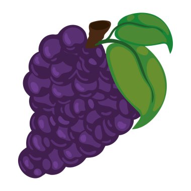 grapes fruit icon white background