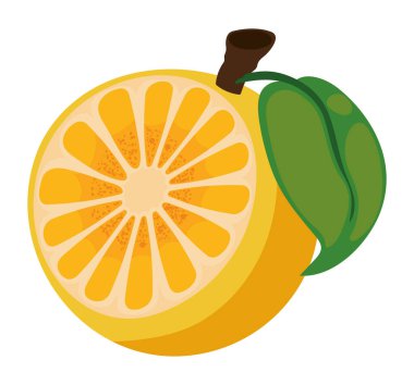 orange fruit icon white background