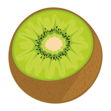 kiwi fruit icon white background