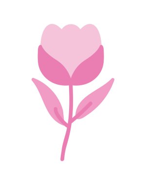 pink flower tulip icon white background