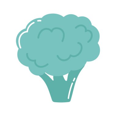 broccoli vegetable icon white background