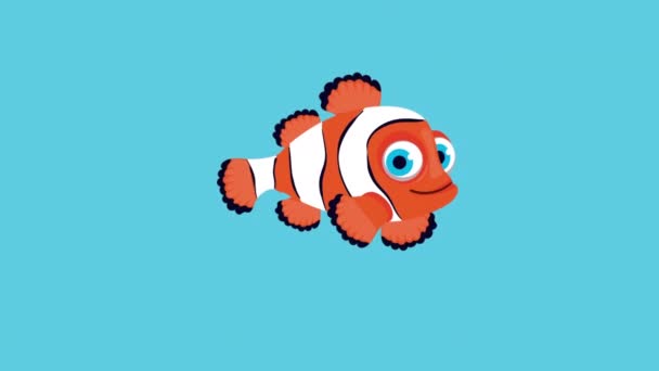Ornamental Clownfish Swiming Sealife Animation Video Animated — Vídeo de Stock