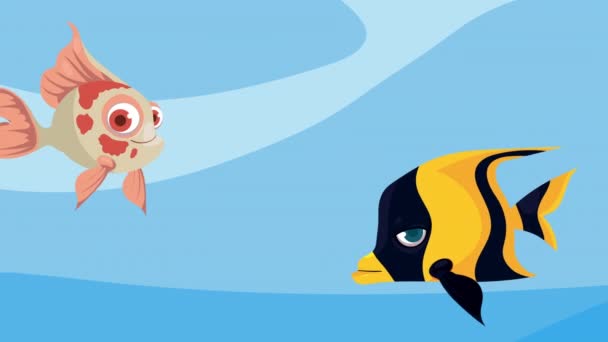 Angel Pink Fishes Swiming Video Animated — Vídeo de Stock