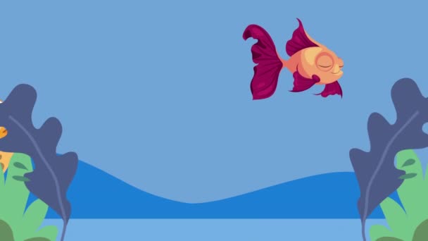 Rozdymki Baleriny Ryby Pływanie Animacja Wideo Animowane — Wideo stockowe