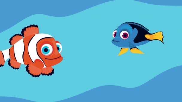Clownfish Blue Fish Swiming Animation Video Animated — Vídeo de Stock