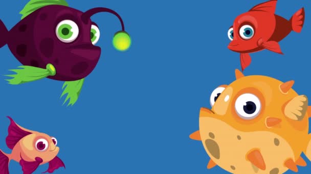 Quatro Peixes Ornamentais Nadando Animação Vídeo Animado — Vídeo de Stock
