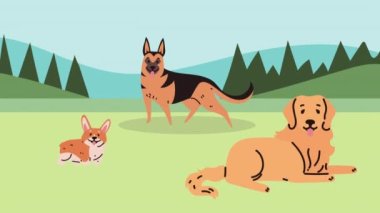 Manzarada üç köpek, 4k video animasyonu