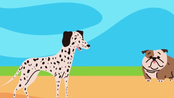 Dalmatian Bulldog Pets Animáció Videó Animált — Stock videók