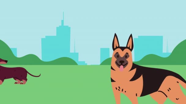 German Sheperd Dachshund Dogs Video Animated — Vídeo de stock