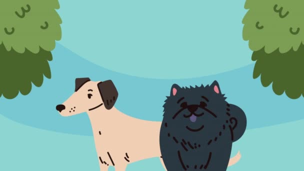 Schnauzer Jack Russell Perros Video Animado — Vídeo de stock
