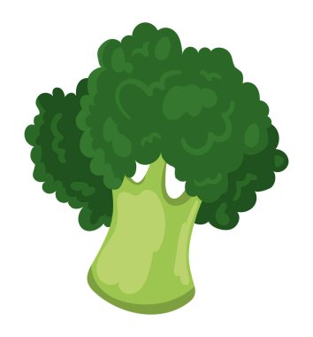 broccoli vegetable healthy food icon
