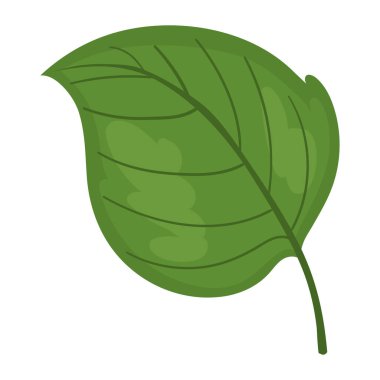 leaf nature ecological sustainability icon isolated
