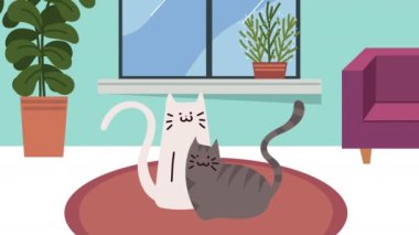 Salon sahnesinde sevimli kediler, 4k video animasyonu