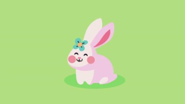 cute pink rabbit seated animation ,4k video animated