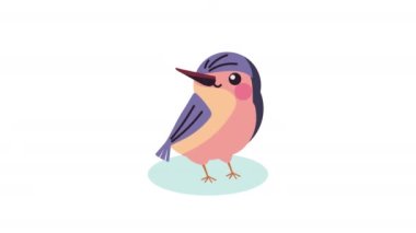 blue and pink bird animation ,4k video animated