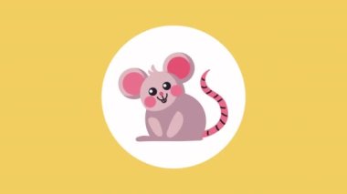 cute mouse rodent animal character ,4k video animated