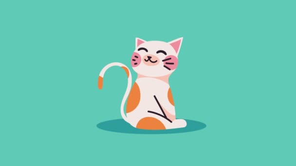 かわいい猫のマスコットアニメ4Kビデオアニメ — ストック動画
