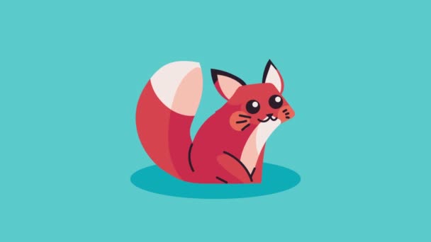 Cute Squirrel Animal Character Animation Video Animated — Stok video