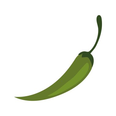 chili pepper icon isolated design