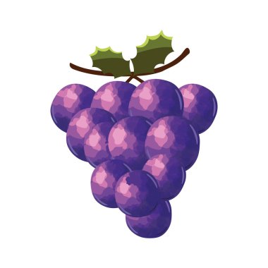 grapes fruit icon isolated design