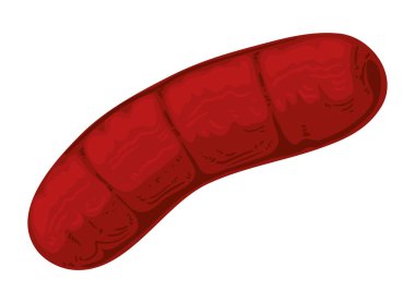 sausage grill icon isolated design