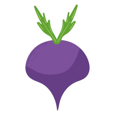 radish vegetable icon isolated design