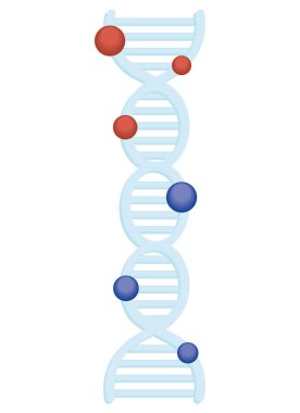 science dna molecule icon isolated style
