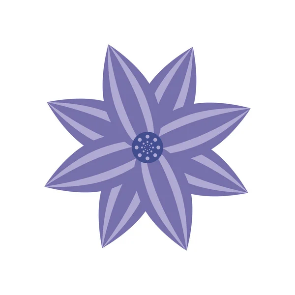 花のテクスチャ植物のアイコン — ストックベクタ