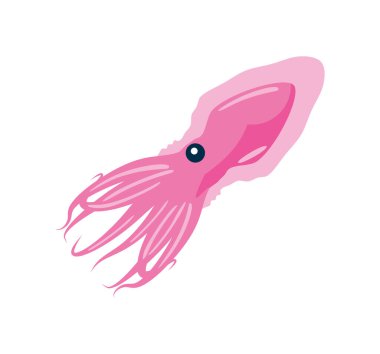 kalamar suda yaşayan hayvan simgesi izole edildi