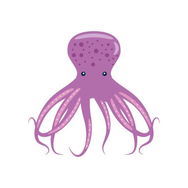 ahtapot suda yaşayan hayvan simgesi izole edildi