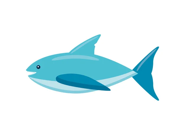 Shark Aquatic Animal Icon Isolated — Stock Vector
