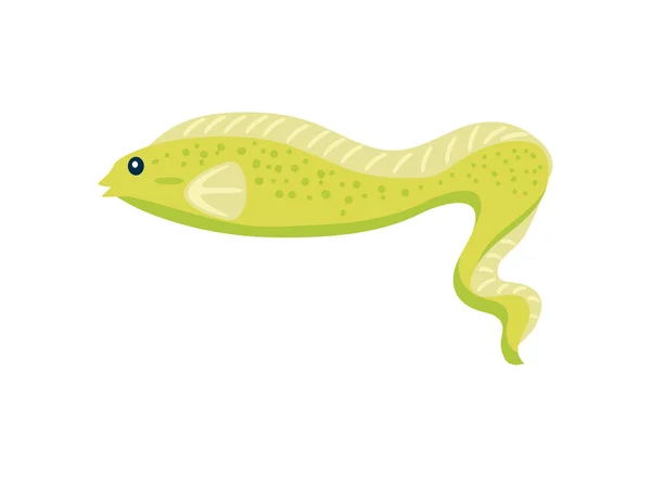 Anguila Animal Acuático Icono Aislado — Archivo Imágenes Vectoriales