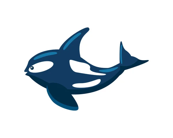 Orca Ballena Animal Acuático Icono Aislado — Archivo Imágenes Vectoriales